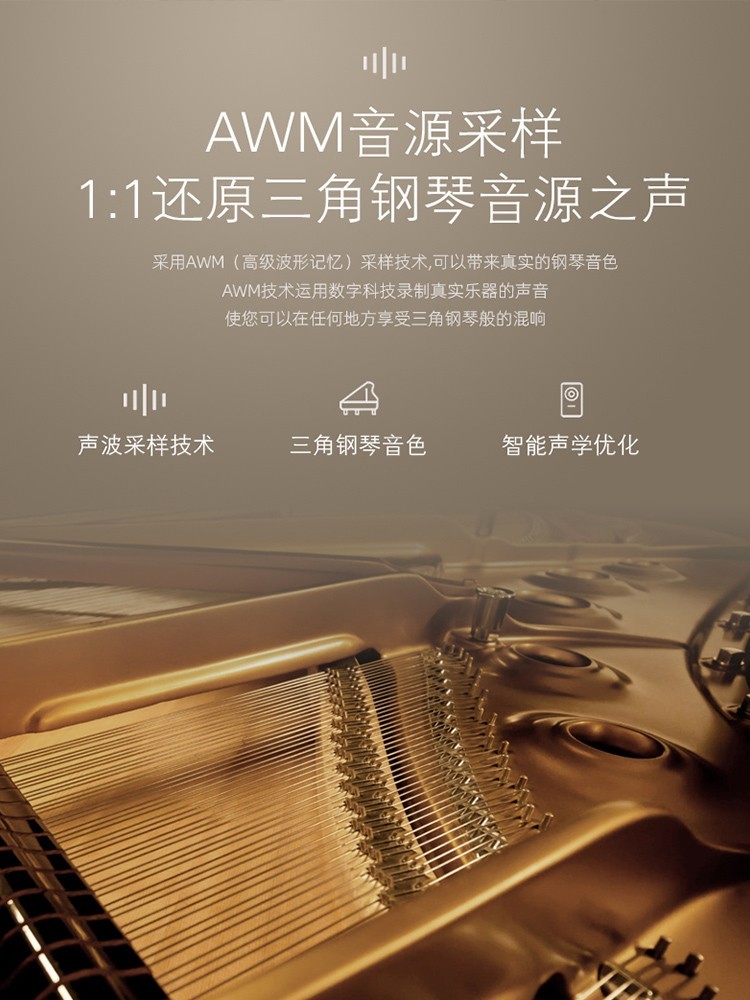 Grand Piano 88-Key Weighted Sm - Smart Home Uses recensie en prijs