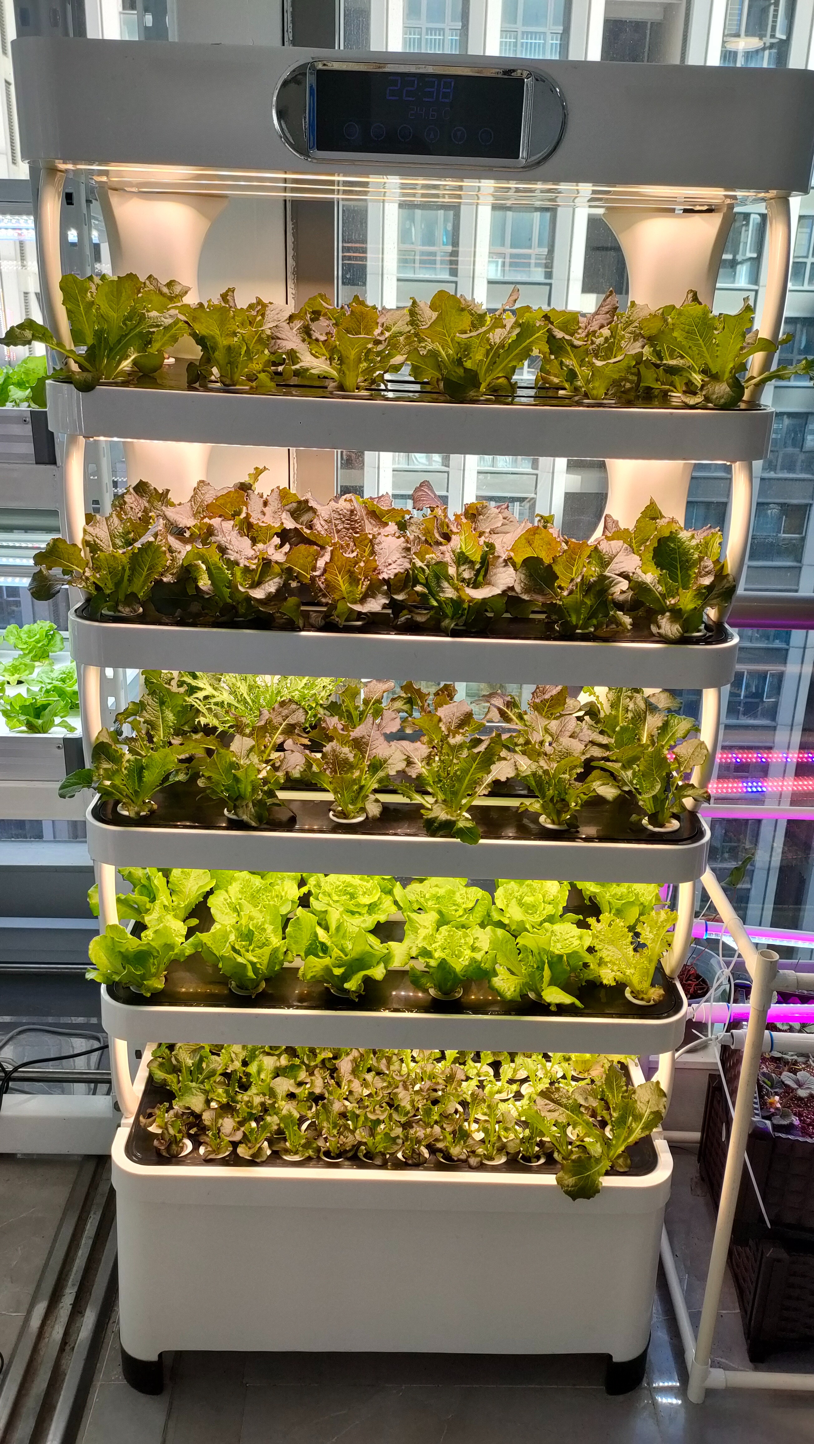 Intelligent Hydroponic Growing - Smart Home Uses recensie en prijs