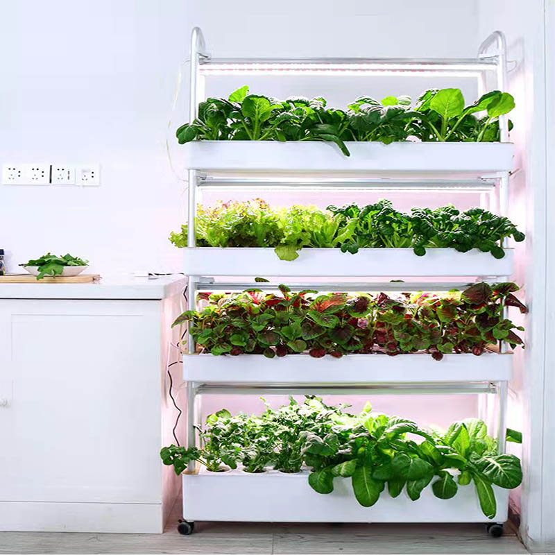 ydroponic Planting System Smar - Smart Home Uses recensie en prijs