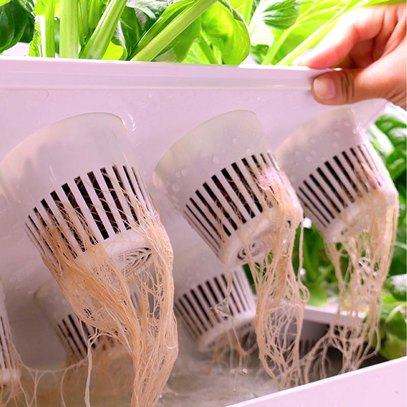 ydroponic Planting System Smar - Smart Home Uses recensie en prijs