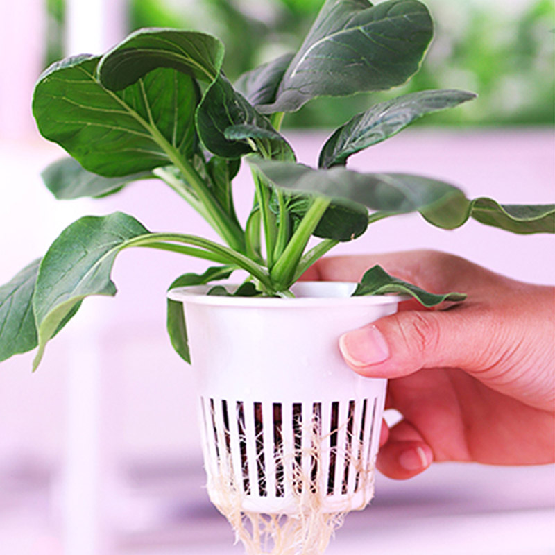 ydroponic Planting System Smar - Smart Home Uses recensie en prijs