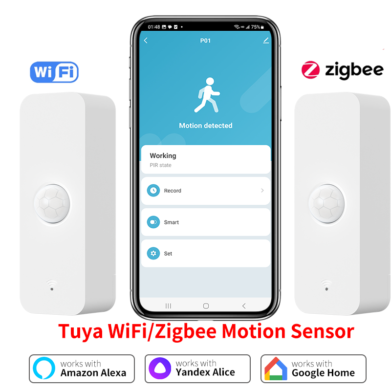 Tuya WiFi Zigbee PIR Motion Se - Smart Home System recensie en prijs
