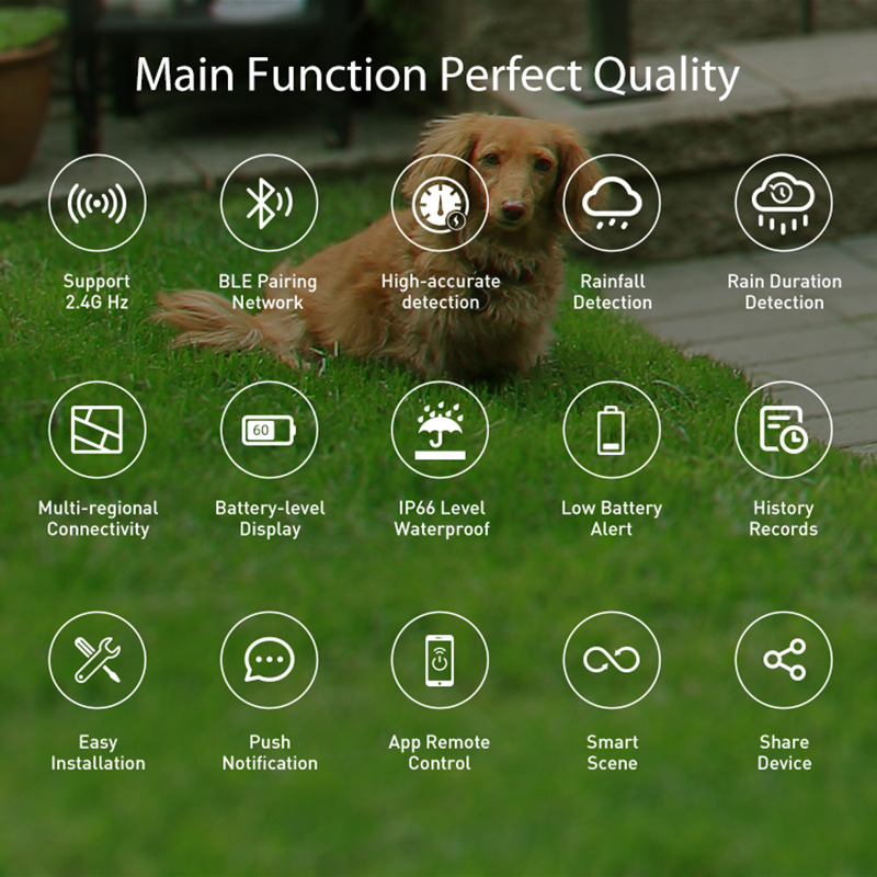 WiFi Rain Sensor Rainfall Dura - Smart Home Green recensie en prijs