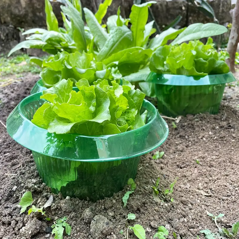 Plants Slug Protection Rings V - Smart Home Green recensie en prijs