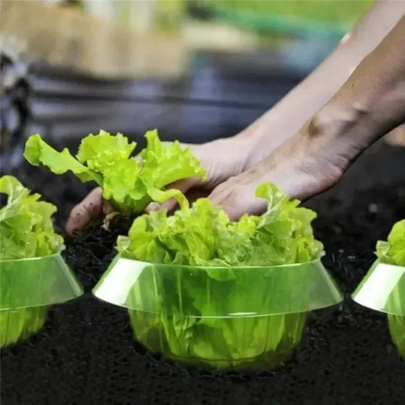 Plants Slug Protection Rings V - Smart Home Green recensie en prijs