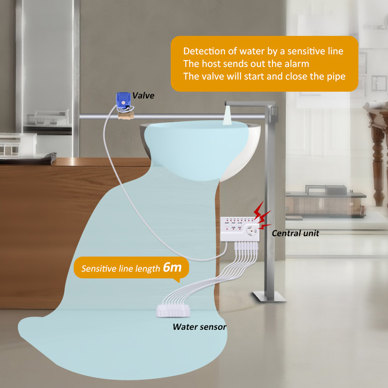 Water Leakage Sensor Smart Lif - Smart Home Water Level Sensor recensie en prijs
