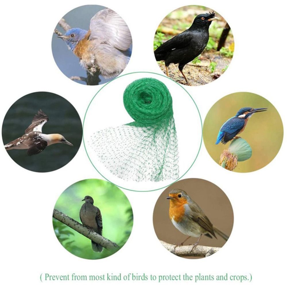 Protect Plants and Fruit Bird  - Smart Home Green recensie en prijs