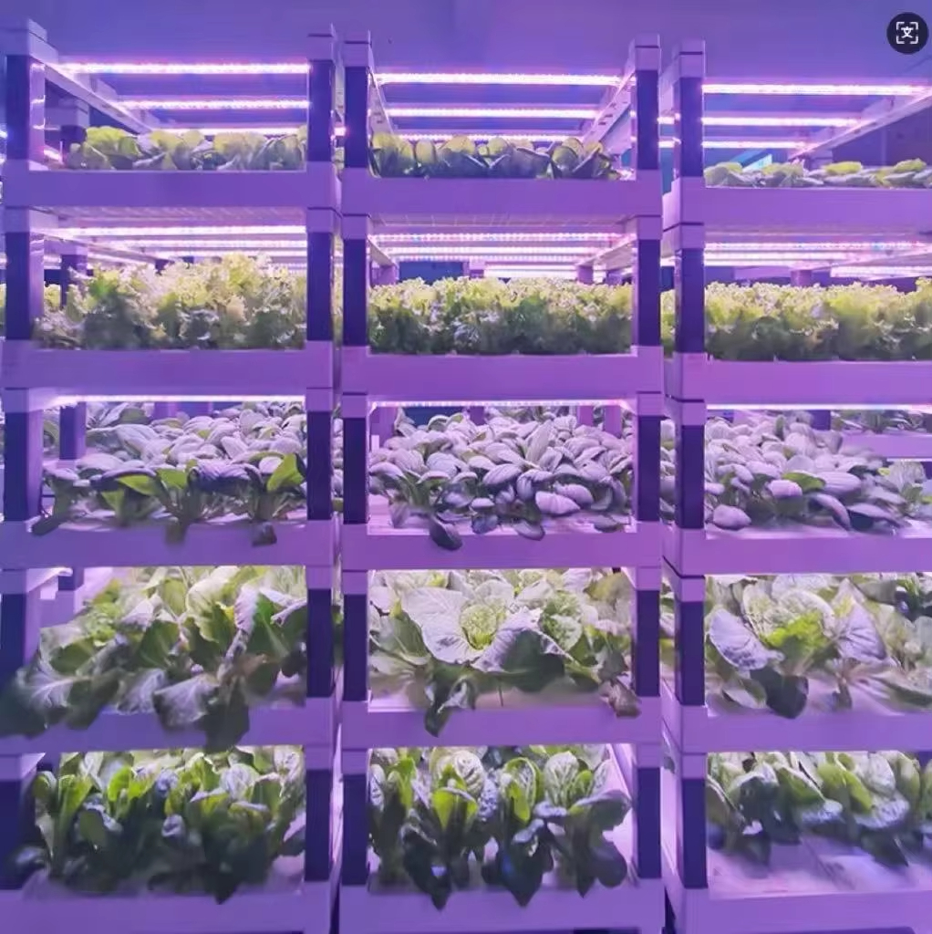 Hydroponic Grow System Greenho - Smart Home System recensie en prijs